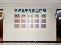 何为失神 神经类常见症状相关知识梳理