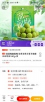 溜溜梅脆青梅 酸爽话梅子果干健康休闲零食240g/袋 *2件 27.5元（合13.75元/件）