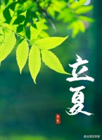 5月5日立夏养生正当时，居家按摩唤醒身心活力