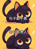 ️♀️晨昔减脂训练营：室内休闲新选择