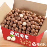 [夏威夷果批發(fā)]新貨【夏威夷果】袋裝奶油味夏威夷果每日堅果干果休閑健康零食價格25.85元/克