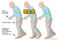居家照護與心理支持：帕金森病患者的長期管理