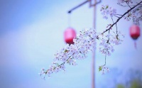 康養(yǎng)旅游的新潮流：健康與休閑的多元體驗(yàn)