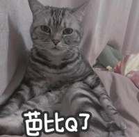 陽了？別慌！居家隔離全攻略