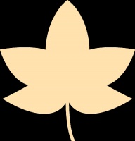 居家健身：上班族的便捷健康之道